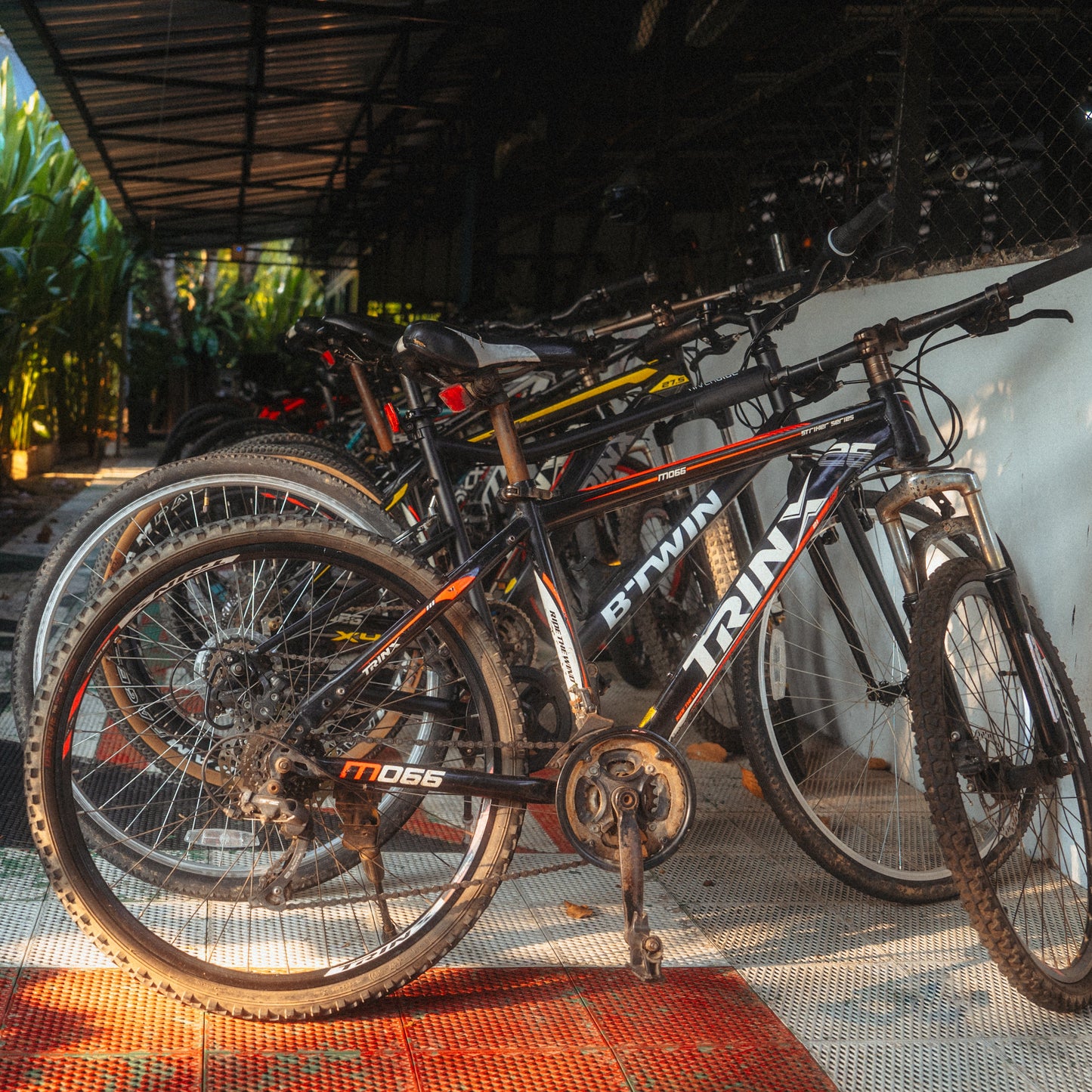 2026 Northern Roots - Chiang Mai (UK School Holiday) Oct 25 - Nov 2