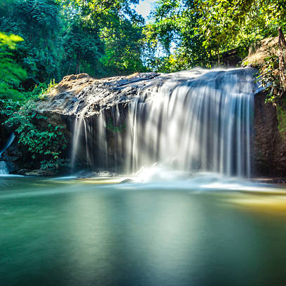 2026 Northern Roots - Chiang Mai (UK School Holiday) Oct 25 - Nov 2